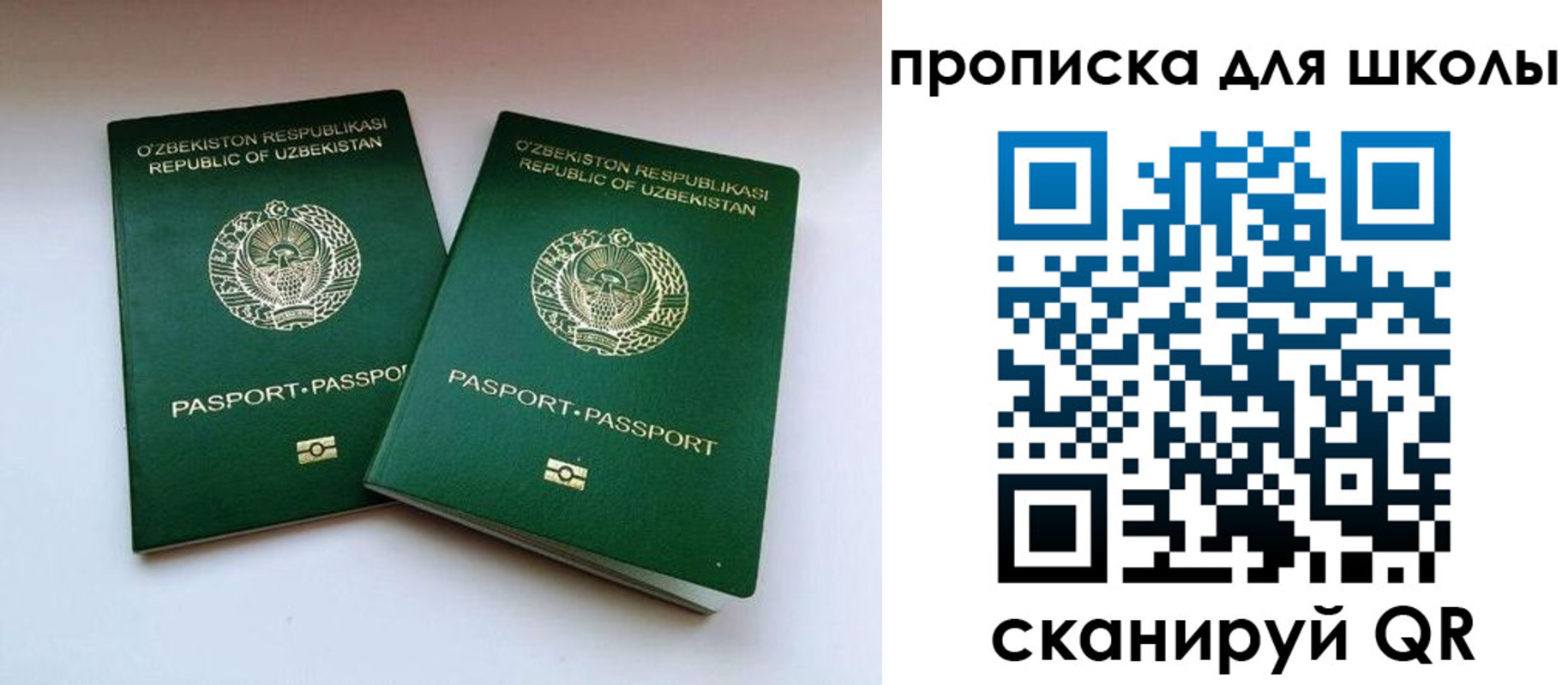временная регистрация в Полярном